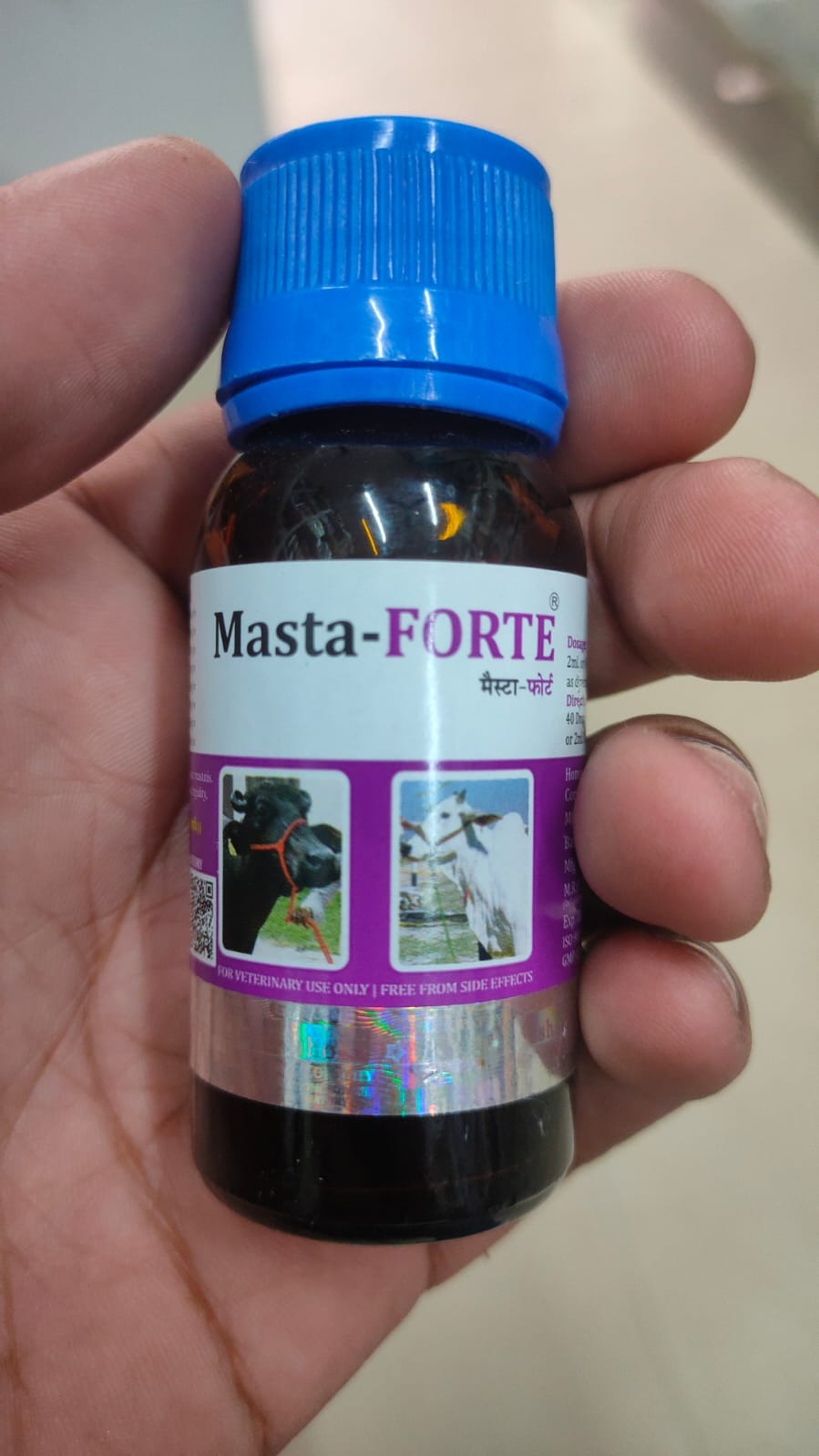 Review photo by Biswajit