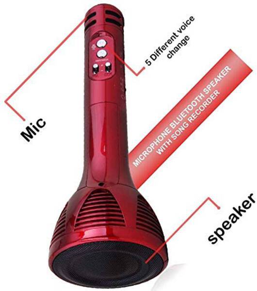 Microphone - iNext