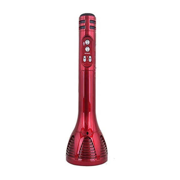 Microphone - iNext