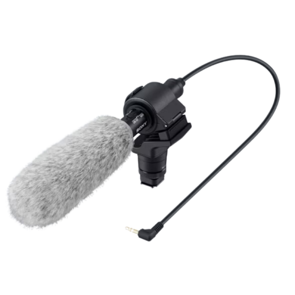 Microphone-Image