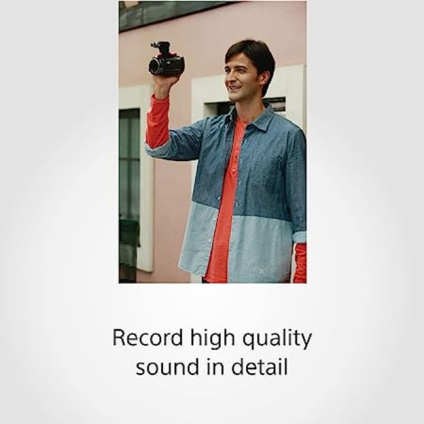 Microphone - Sony