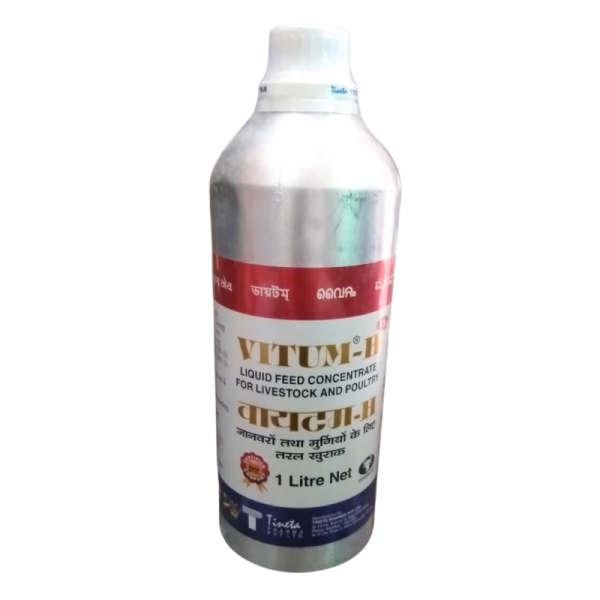Vitum-H-Image