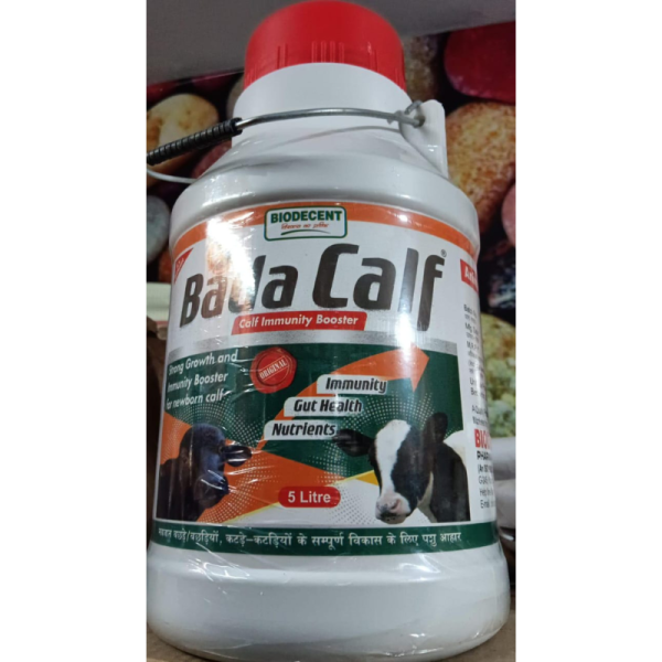 Bada Calf - BioDecent Pharma