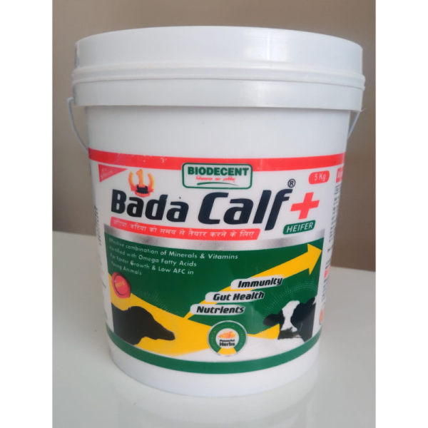 Bada Calf - BioDecent Pharma