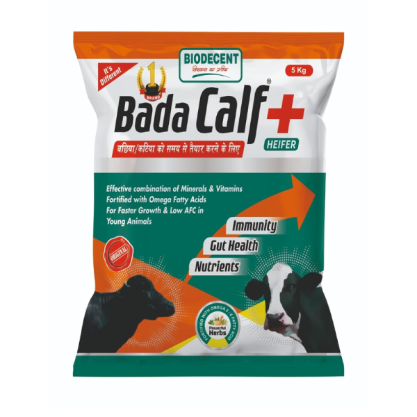 Bada Calf-Image