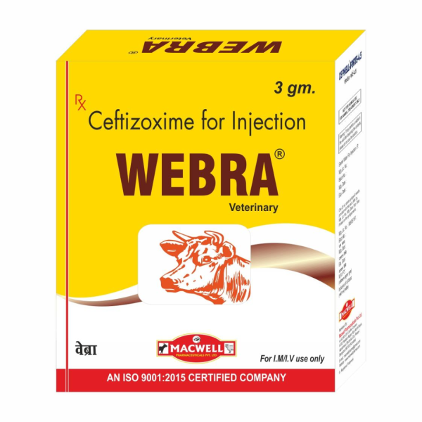 Webra Injection Image