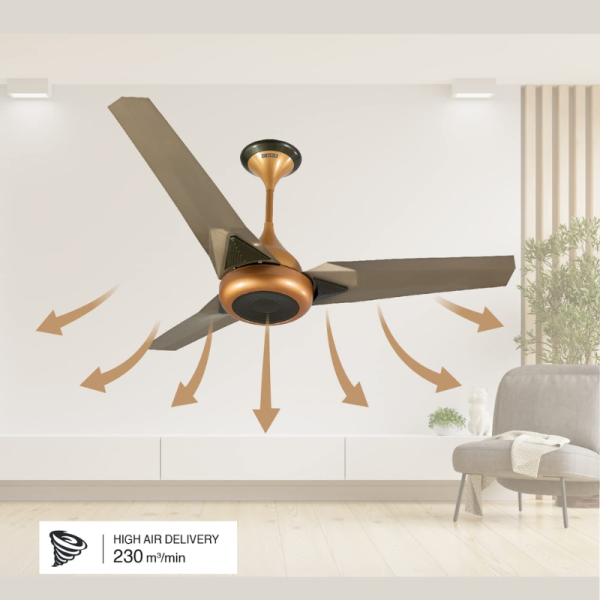Ceiling Fan - Usha