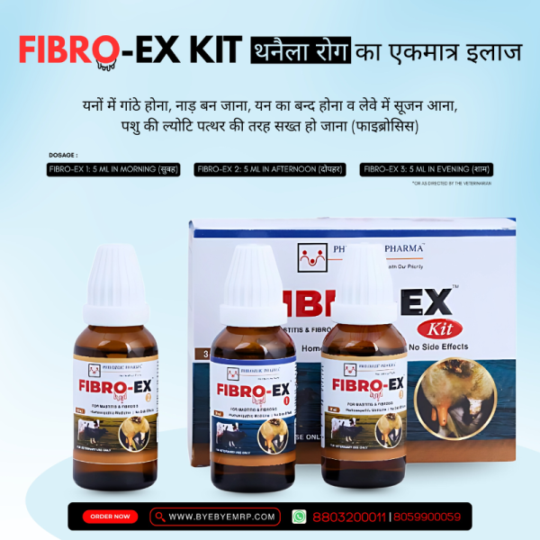 Fibro-Ex Kit-Image