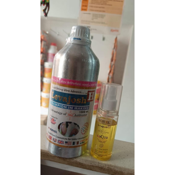 Levajosh H - Norrel Pharma