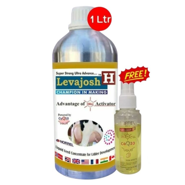Levajosh H-Image