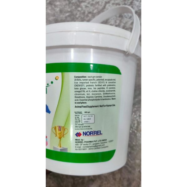 Livocell Back Up - Norrel Pharma