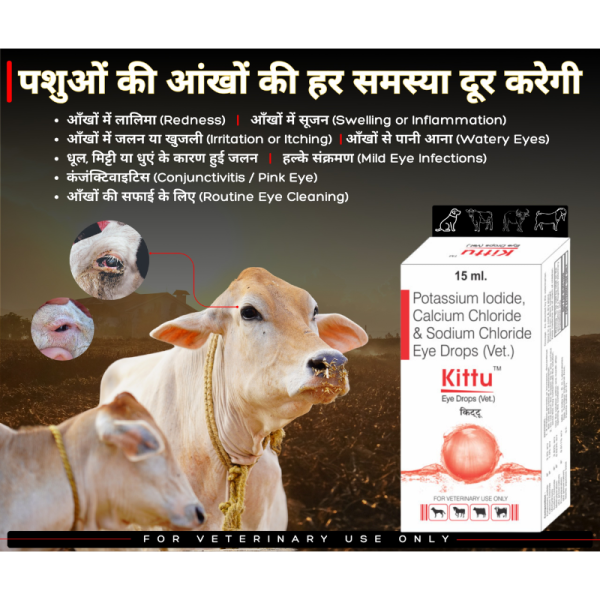 Kittu Eye Drops (Vet). Image