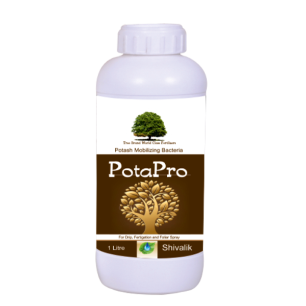 Pota Pro Image
