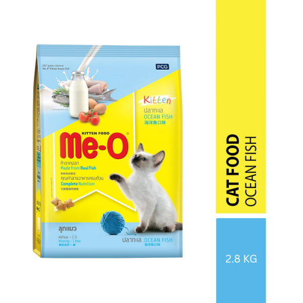 Kitten Food Image
