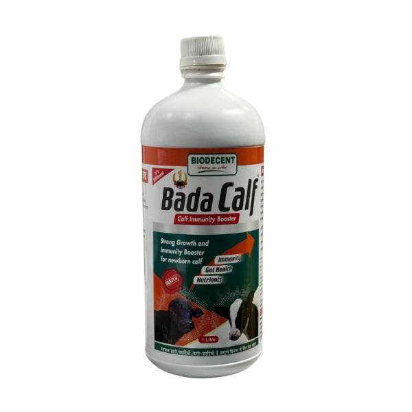 Bada Calf-Image