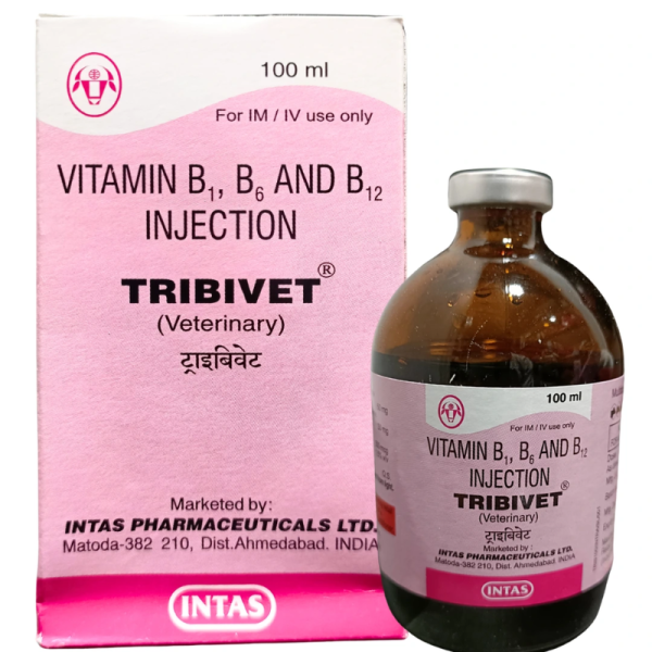vitamin b12 injection price in india Injection: Uses, Side Effects, Price, Dosage & More Info Vitamin B12 Injection Sites: All
