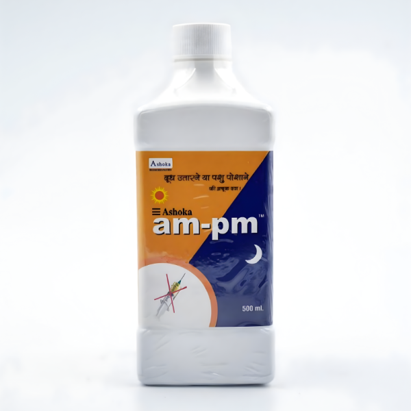 Am-Pm-Image