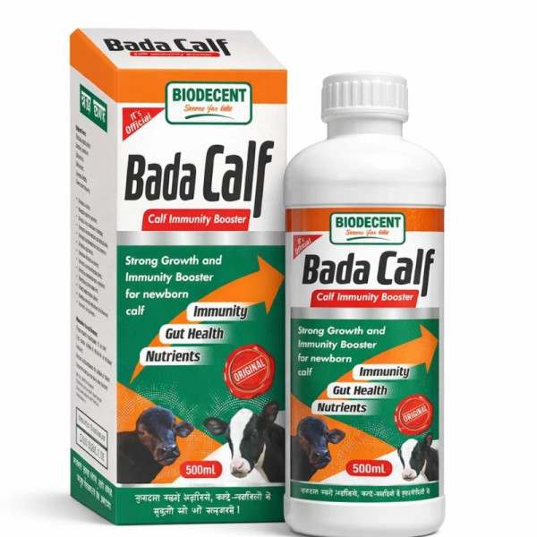 Bada Calf-Image