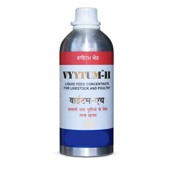 Vitum-H-Image