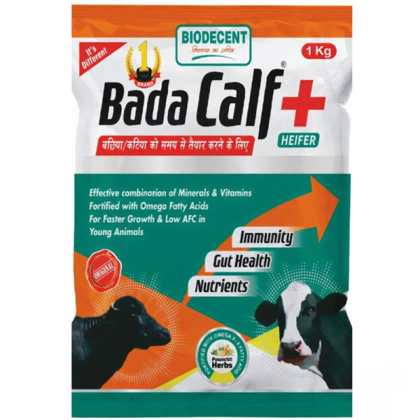 Bada Calf-Image
