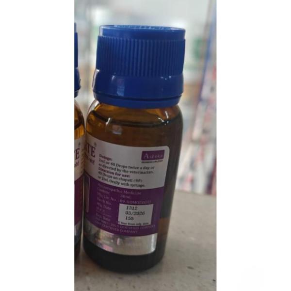 Masta-Forte - Ashoka Homoeopathic