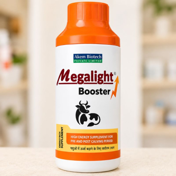 Megalight Booster-Image