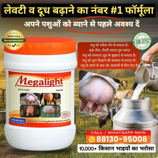 Megalight Powder-Image