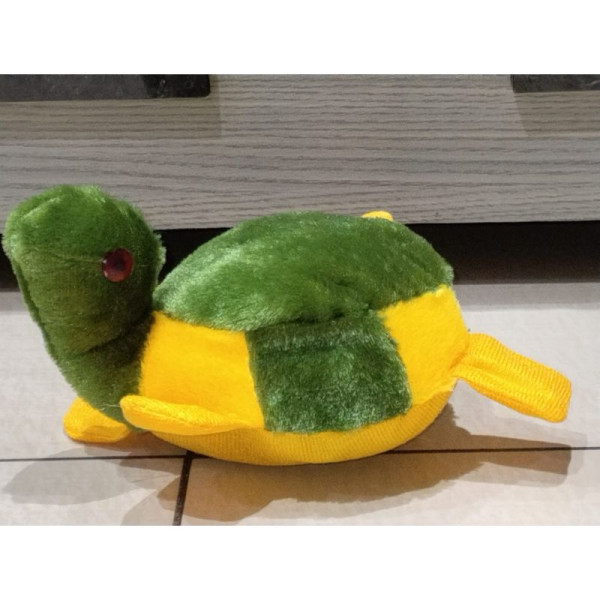 Turtle Toy Image