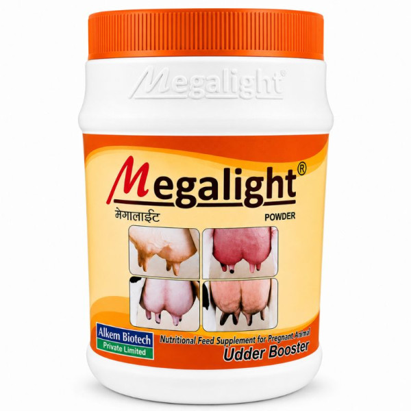Megalight Powder-Image