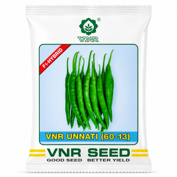 F1 Hybrid Chilli Seeds Image